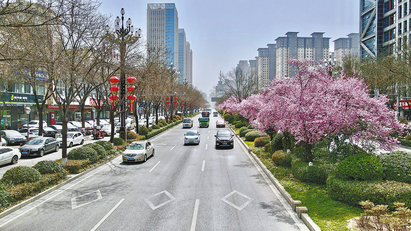 花開成景 扮靚城市